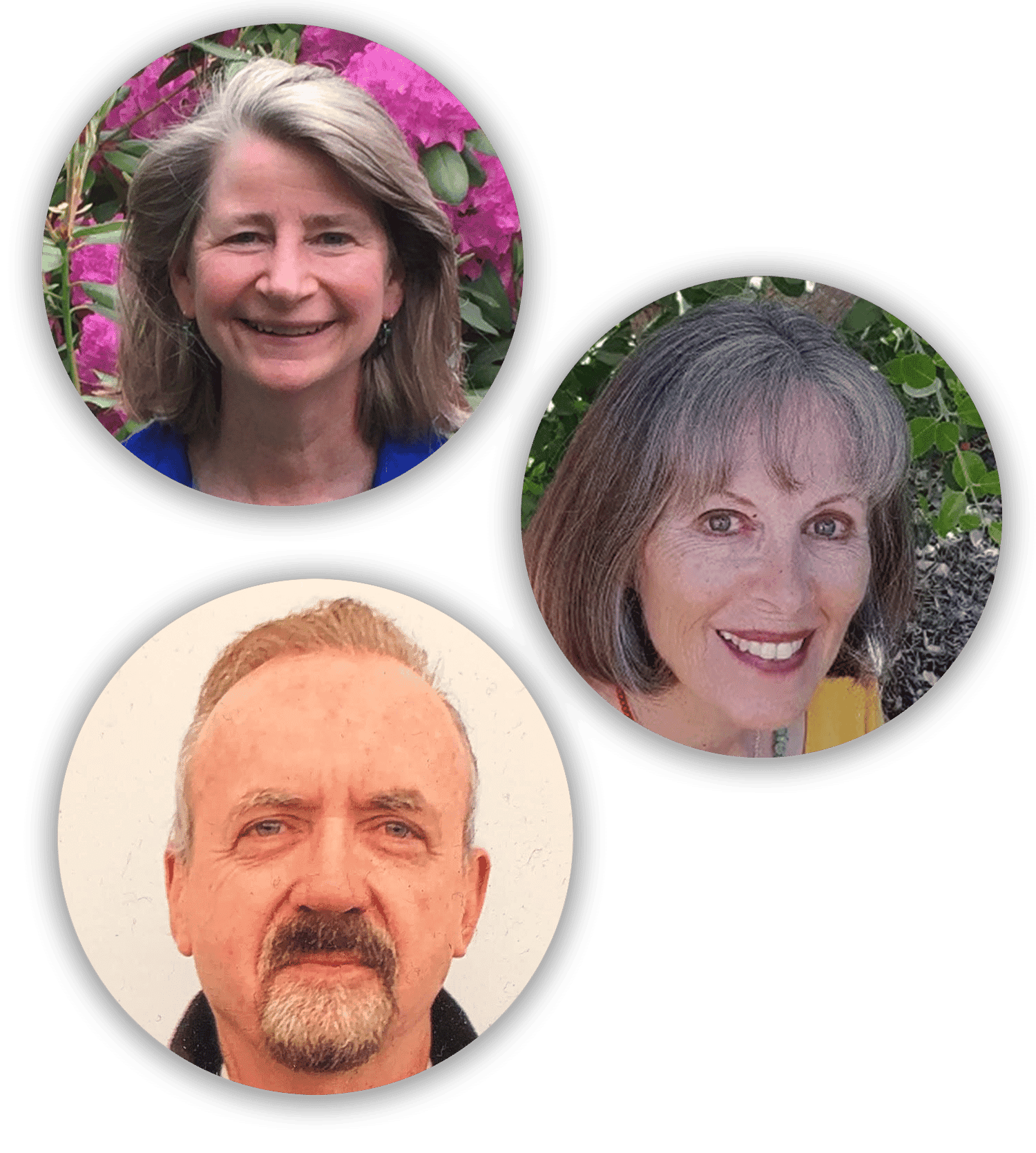 Laurie Ure, LICSW, Robert Coffman, PhD, and Vincentia Schroeter, PhD.