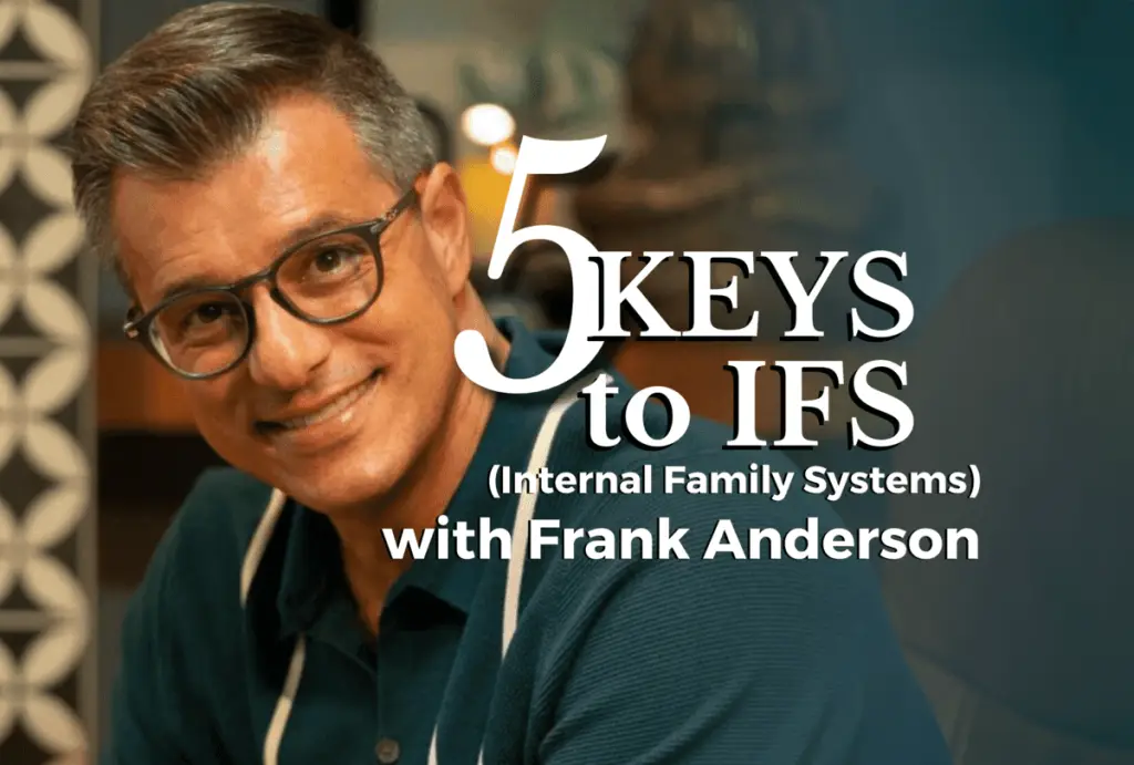 frank anderson ifs introduction for therapists trauma therapy parts healing energy spirituality academy of therapy wisdom