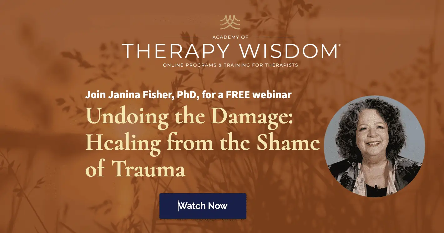Janina Fisher trauma training online