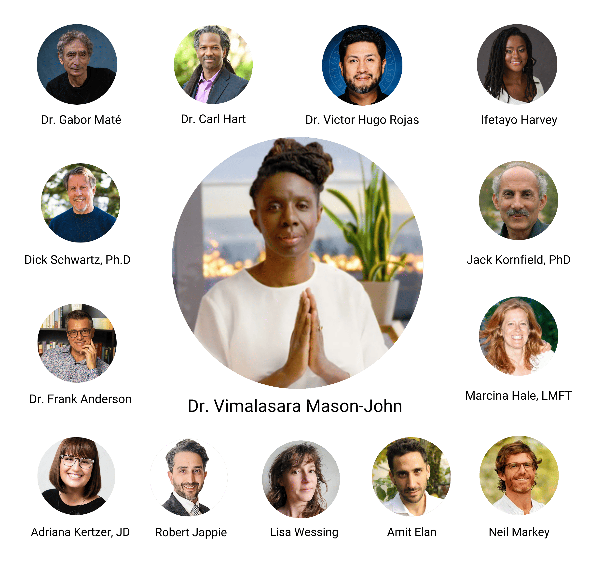 Psychedelics as a Path to Freedom Presenters