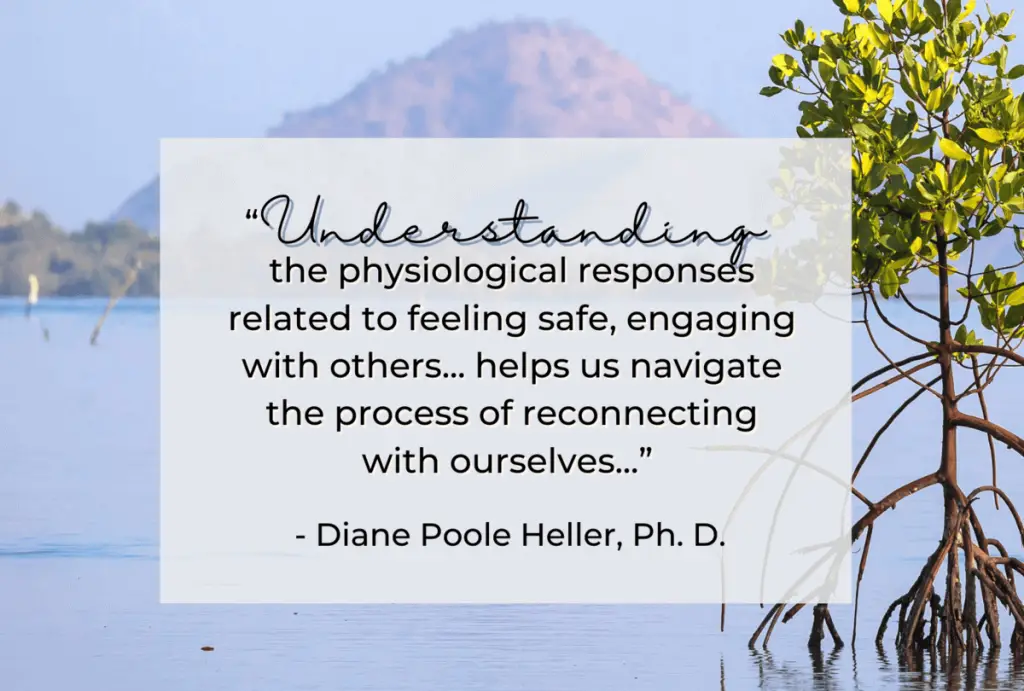 trauma therapy and attachment Diane Poole Heller, Janina Fisher