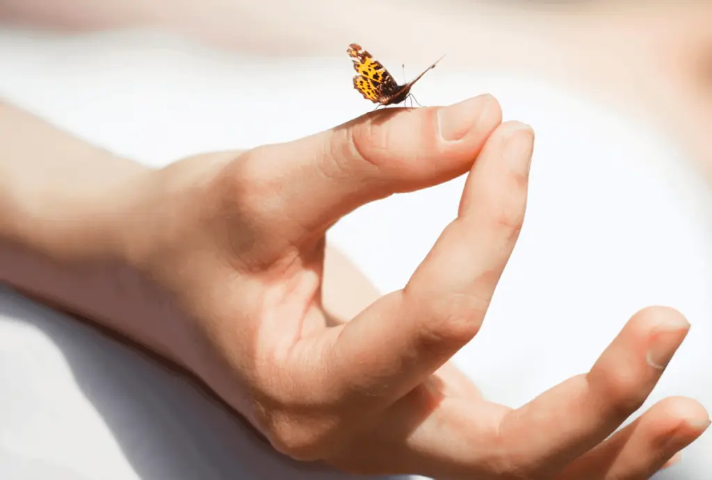 self-care therapist vagus nerve stimulation hand butterfly