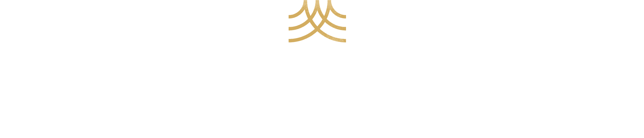 Academy of therapy wisdom - Logo