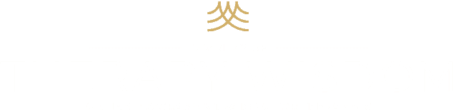 Therapy Wisdom - Logo