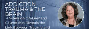 Addiction trauma brain course by janina fisher