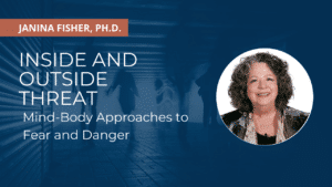 Inside and outside threat by Janina Fisher