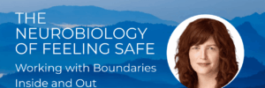 Workshop on Neurobiology of Feeling Safe, Boundaries