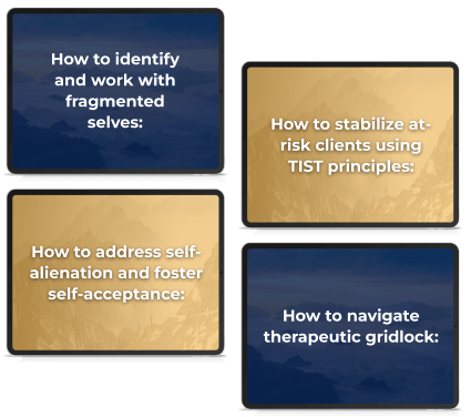 Dr. Janina Fisher's TIST method