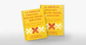 Book cover: Healing Trauma and Addiction practices