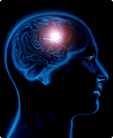 Memory and Memory Reconsolidation