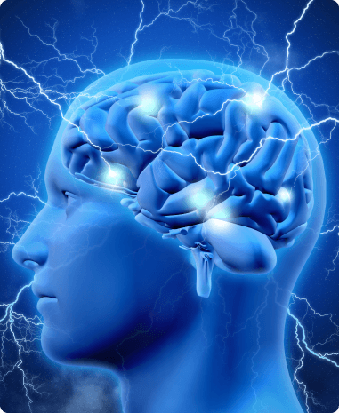 Memory Reconsolidation Throughout the Brain