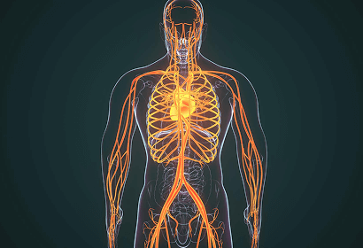 Participants will be able to name and describe the seven pathways of the autonomic nervous system