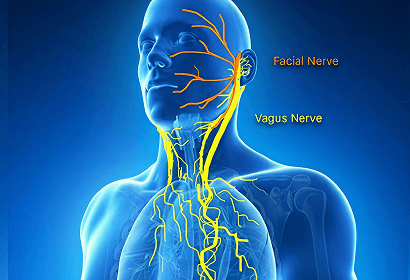 Participants will have specific skills that they can apply to activate the vagus nerve