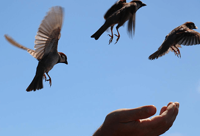 Discover how forgiveness can be a powerful tool for emotional healing after trauma