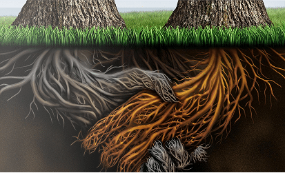 The “trauma tree” framework for mapping earliest layers of experience