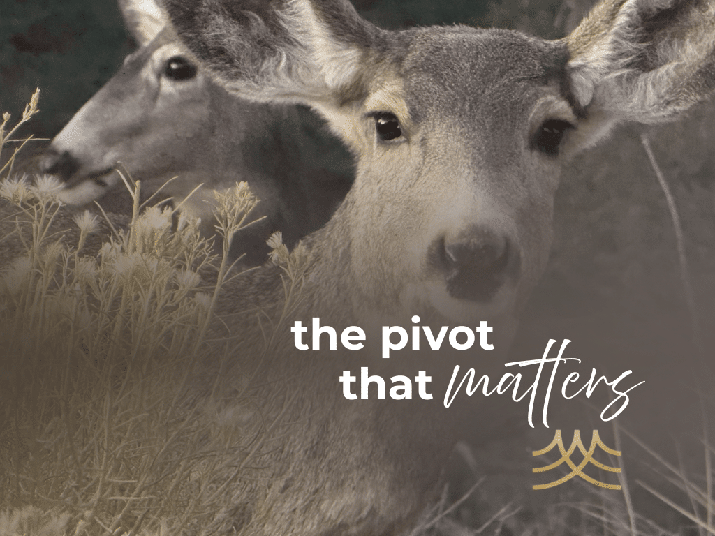 Two deer among plants, text overlay.