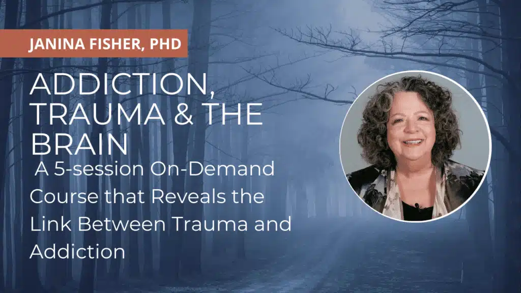 Course on addiction, trauma, brain with expert insights.