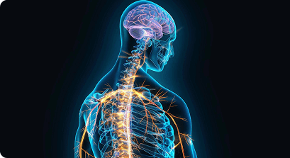 Your Nervous System Matters Too