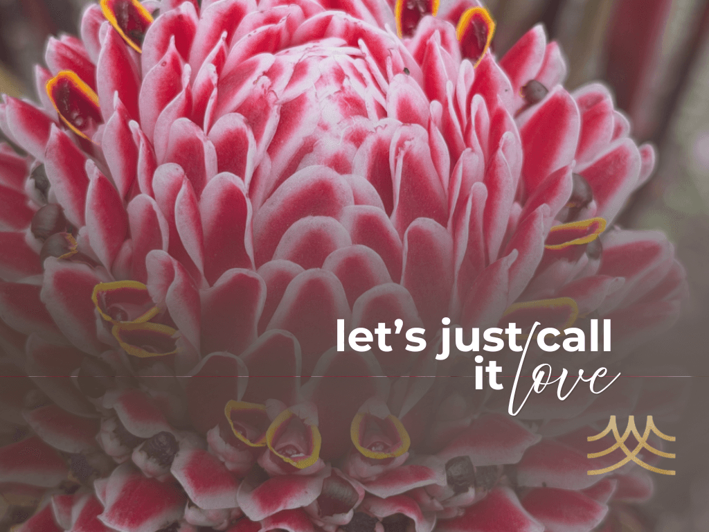 Close-up of red flower with inspirational quote. - Brian Spielmann