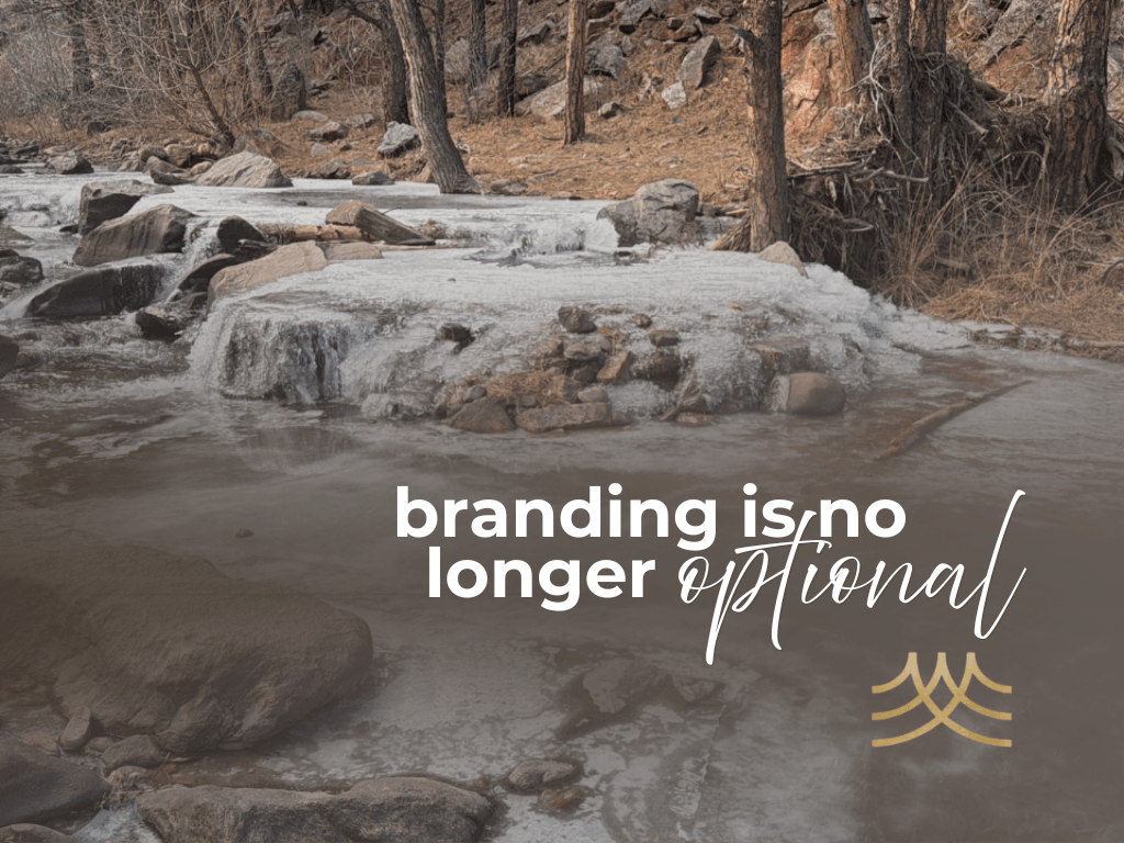 Frozen creek with 'branding is no longer optional' overlay. - Brian Spielmann
