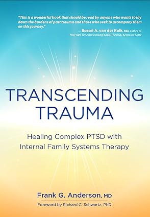 Book cover of Transcending Trauma by Frank Anderson