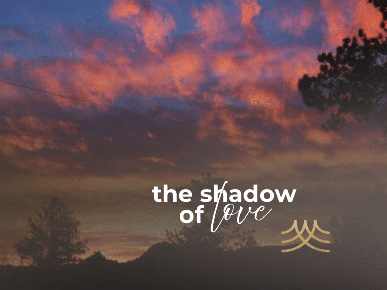 Sunset sky with silhouetted trees and title text