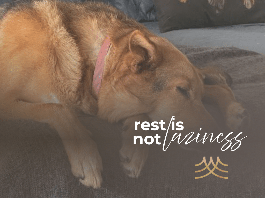 Dog resting on couch with motivational text overlay
