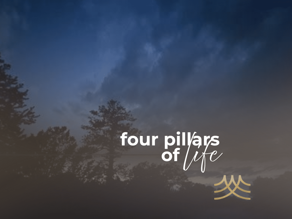Silhouetted trees at dusk with inspirational text
