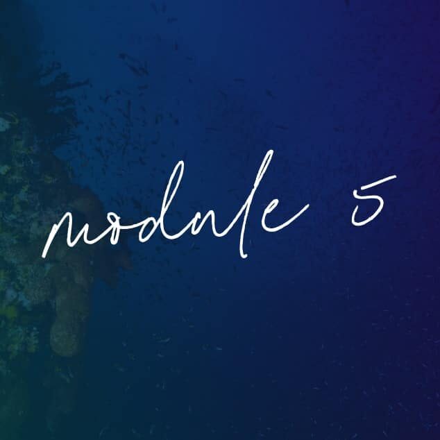 Opening Spiritual Connection Through Embodied Meditation