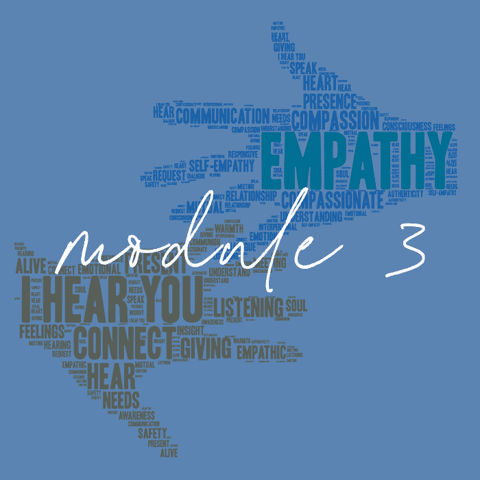 MODULE 3 - We are Meaning Making Beings