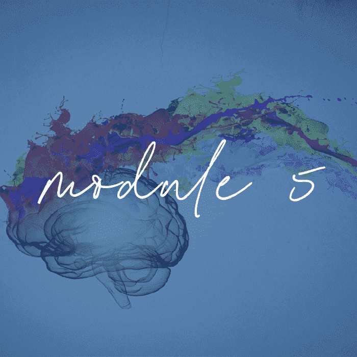 MODULE 5 -Tracking Neural Networks