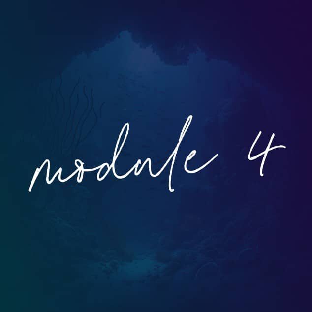 Deepening Insights Through the Interaction Cycle