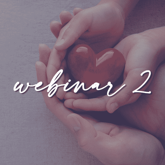 Webinar2_final