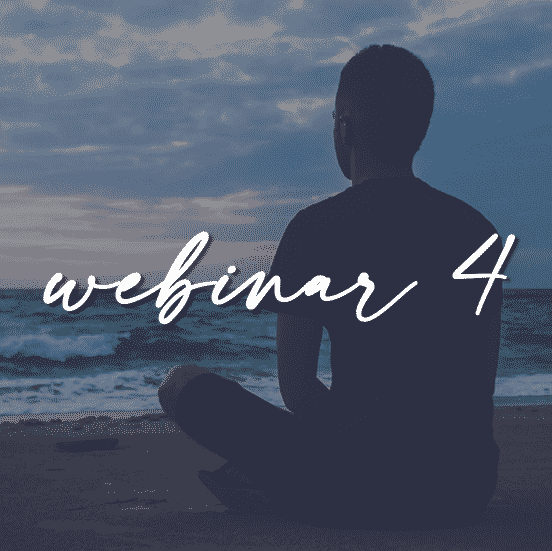Webinar4_final