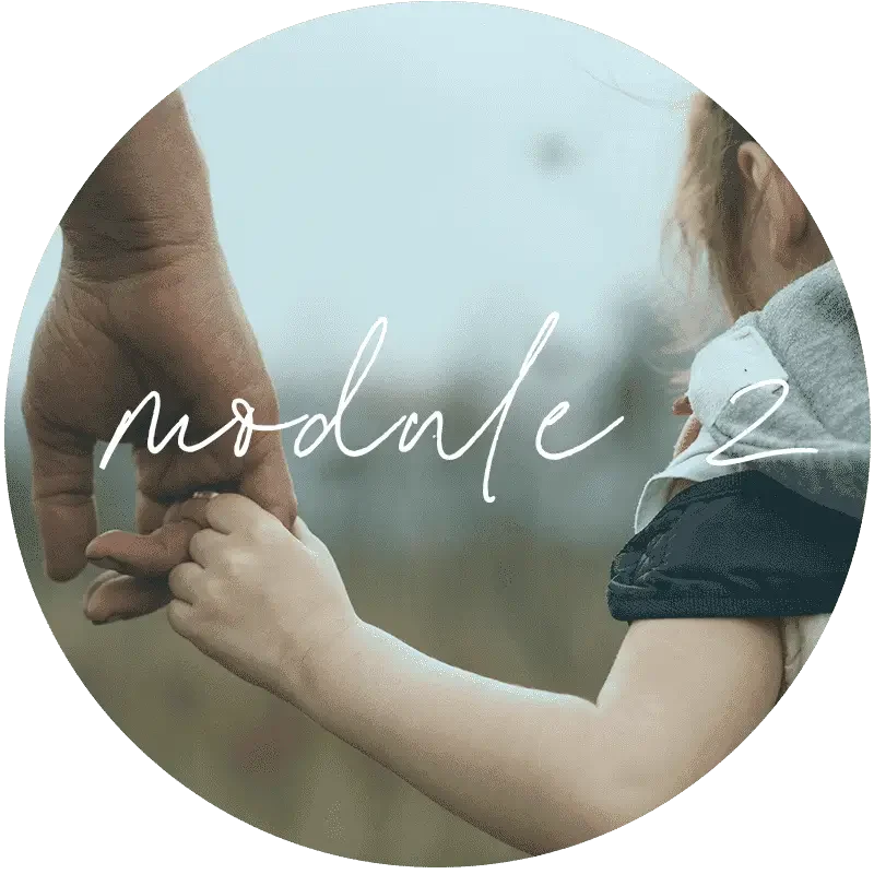 Module Two: Foundational Skills for Trauma-Informed Stabilization