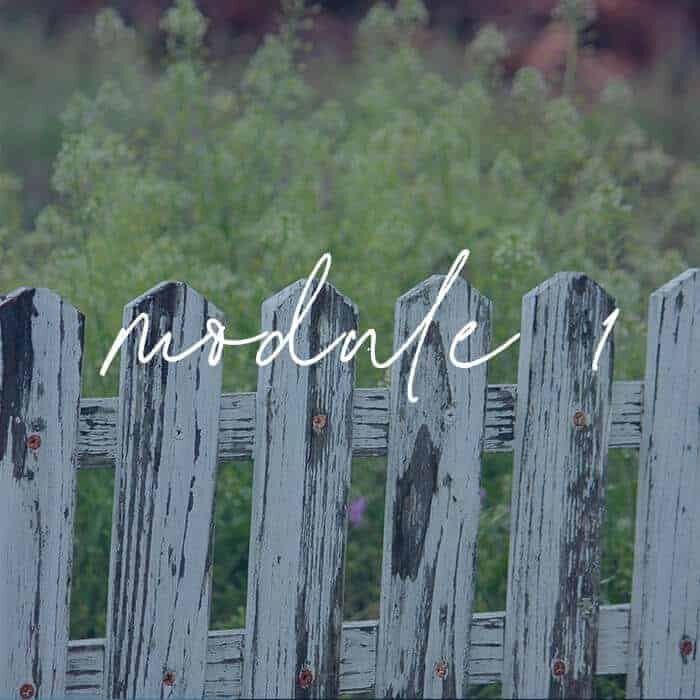 Module 1 - What Do We Mean When We Say Boundaries?