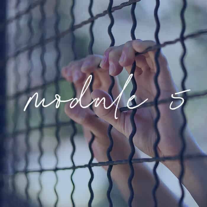 Module 5 - Deepening Boundary Work: Safety and Grief